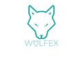 Wolfex Automotive and Machine